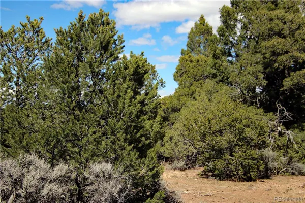 a view of a large mountain with a tree in the background