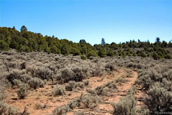 a view of a bunch of trees in a field