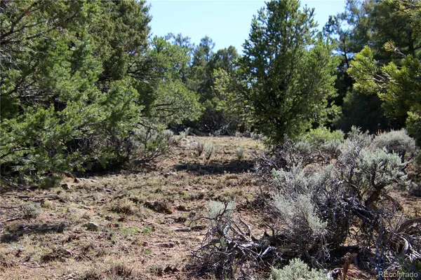 a view of a large yard with lots of bushes
