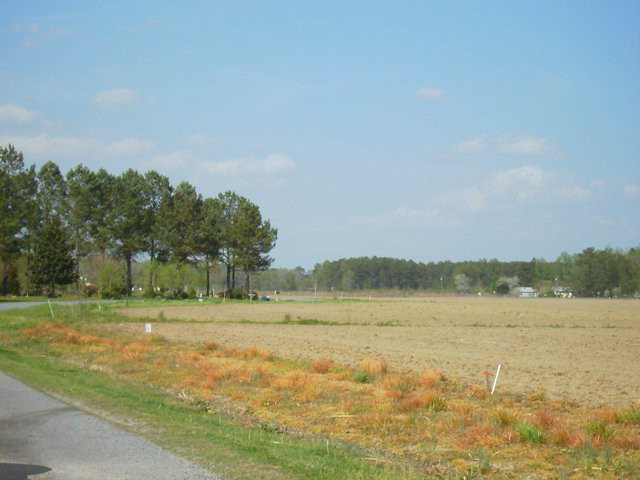 29 Catnip Point Road Bath, NC 27808 - Photo 1 of 4 Primary Photo