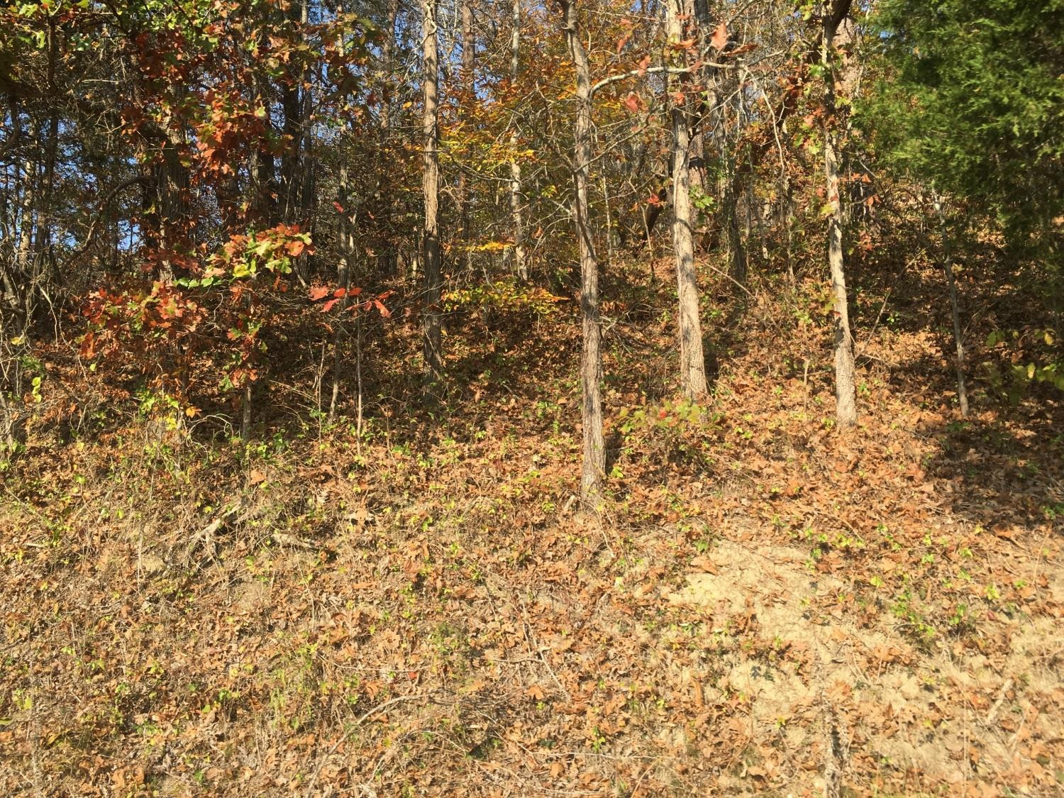 1133 Cane Creek Road Stanton, KY 40380 - Photo 22 of 22 Photo 22