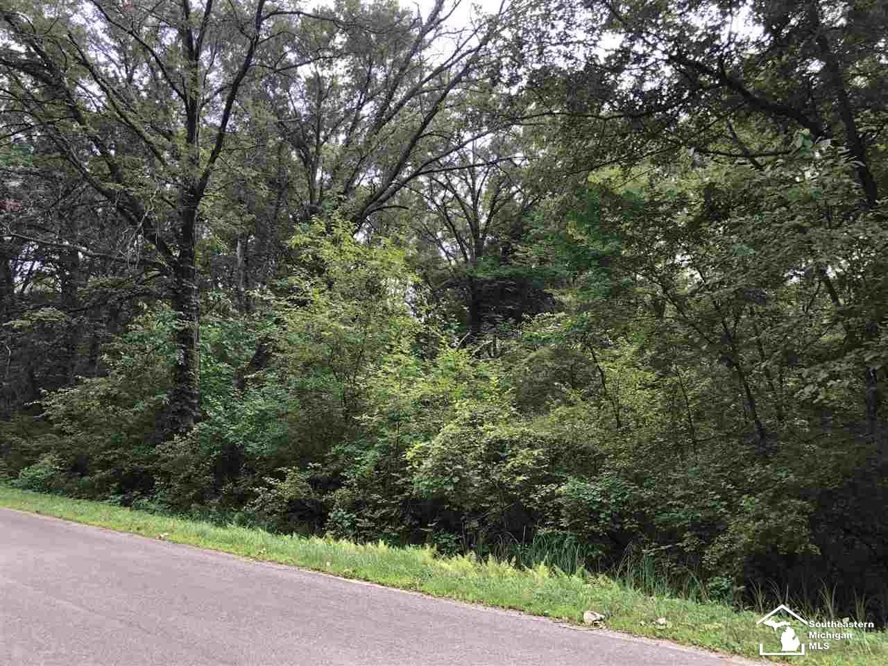 0 Douglas Road Temperance, MI 48182 - Photo 3 of 3