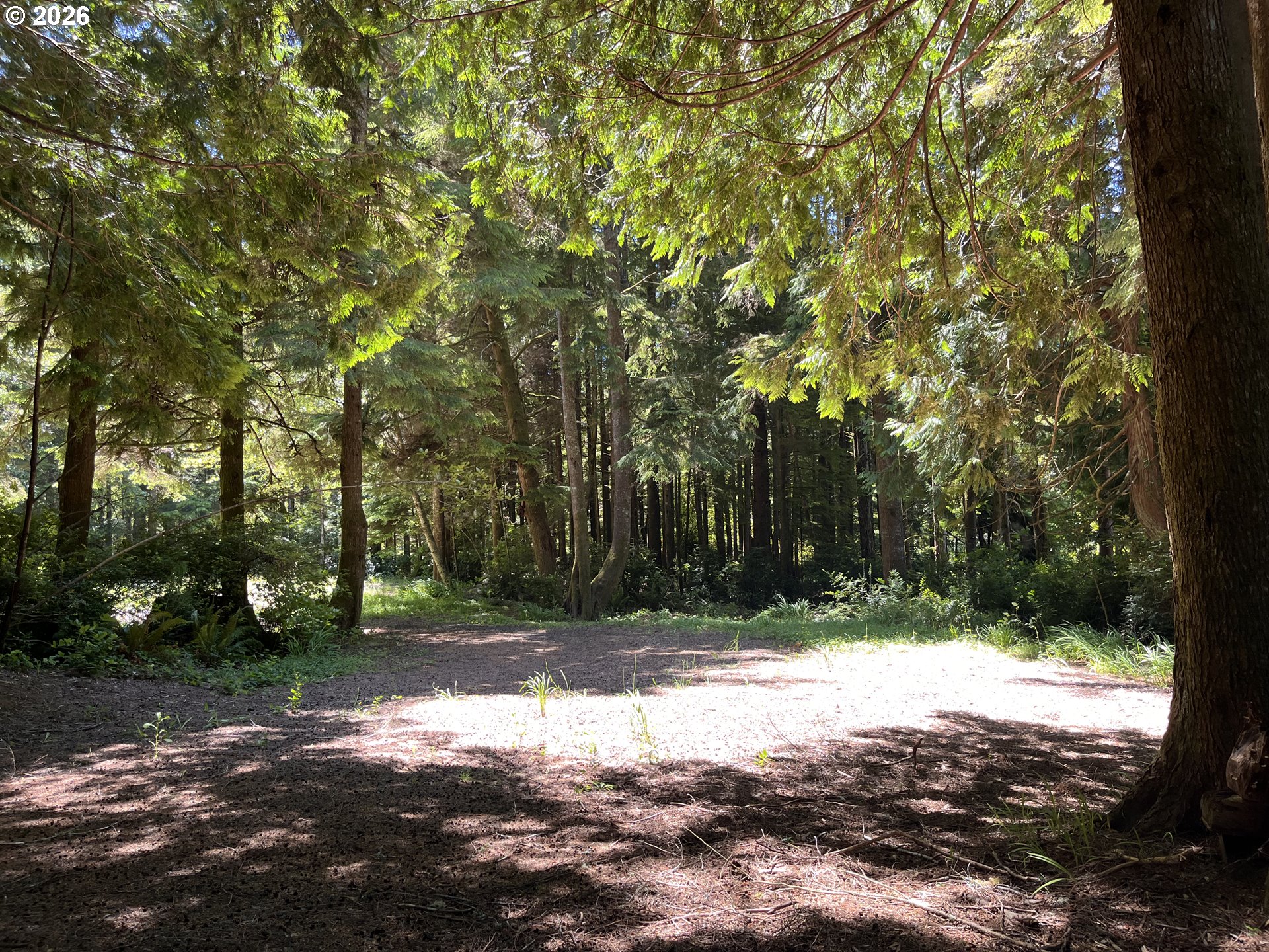 North Loftus Road Florence, OR 97439 - Photo 4 of 12