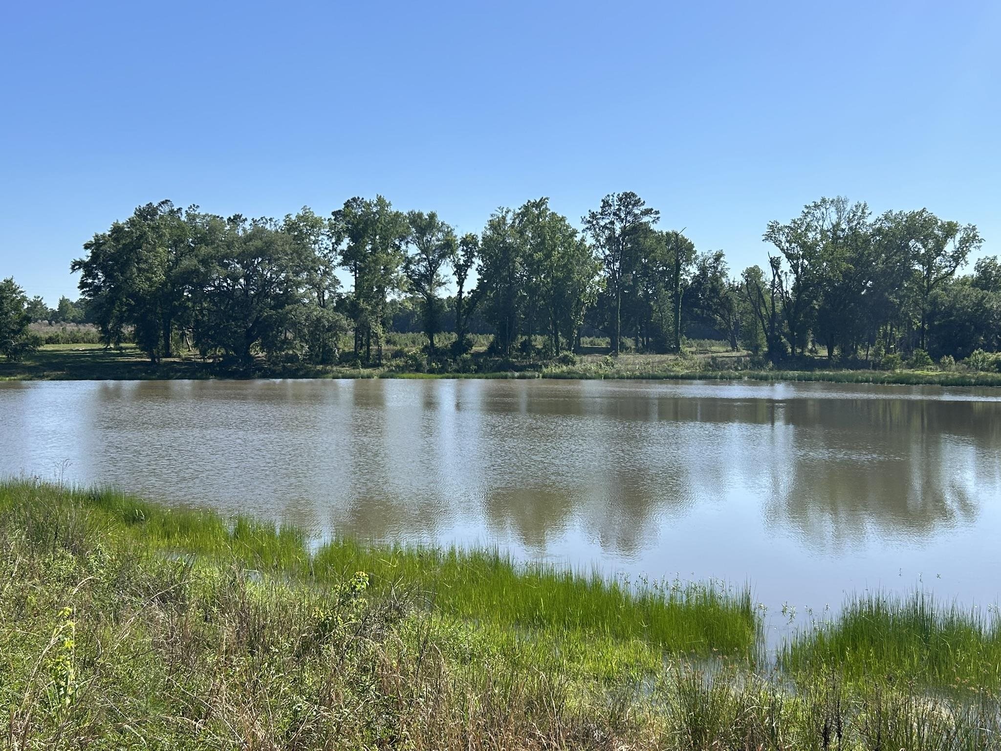 Xxx Ben Bostick Road Quincy, FL 32351 - Photo 4 of 20
