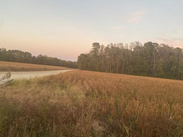Spring Branch Road Tar Heel, NC 28392 - Photo 6 of 6 Photo 6