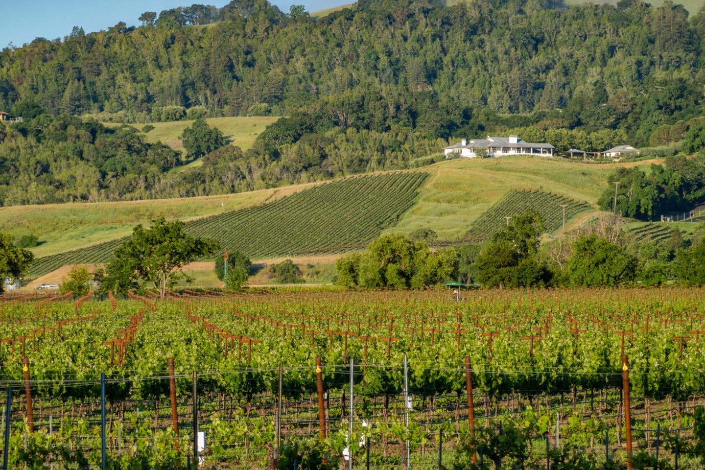 3075 Dry Creek Road Napa, CA 94558 - Photo 45 of 45