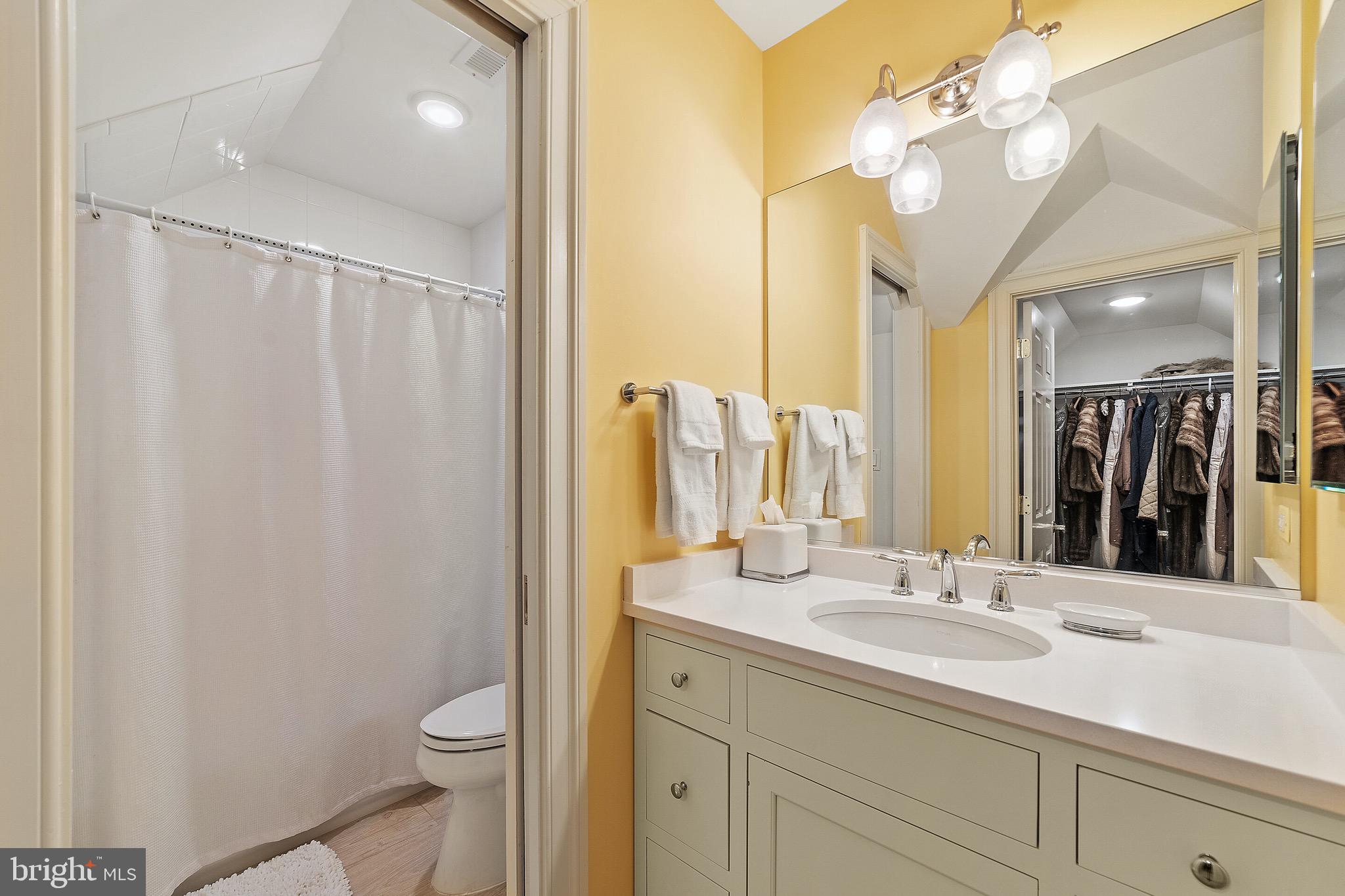 3 Reed Street Middleburg, VA 20117 - Photo 34 of 42 2nd floor bath