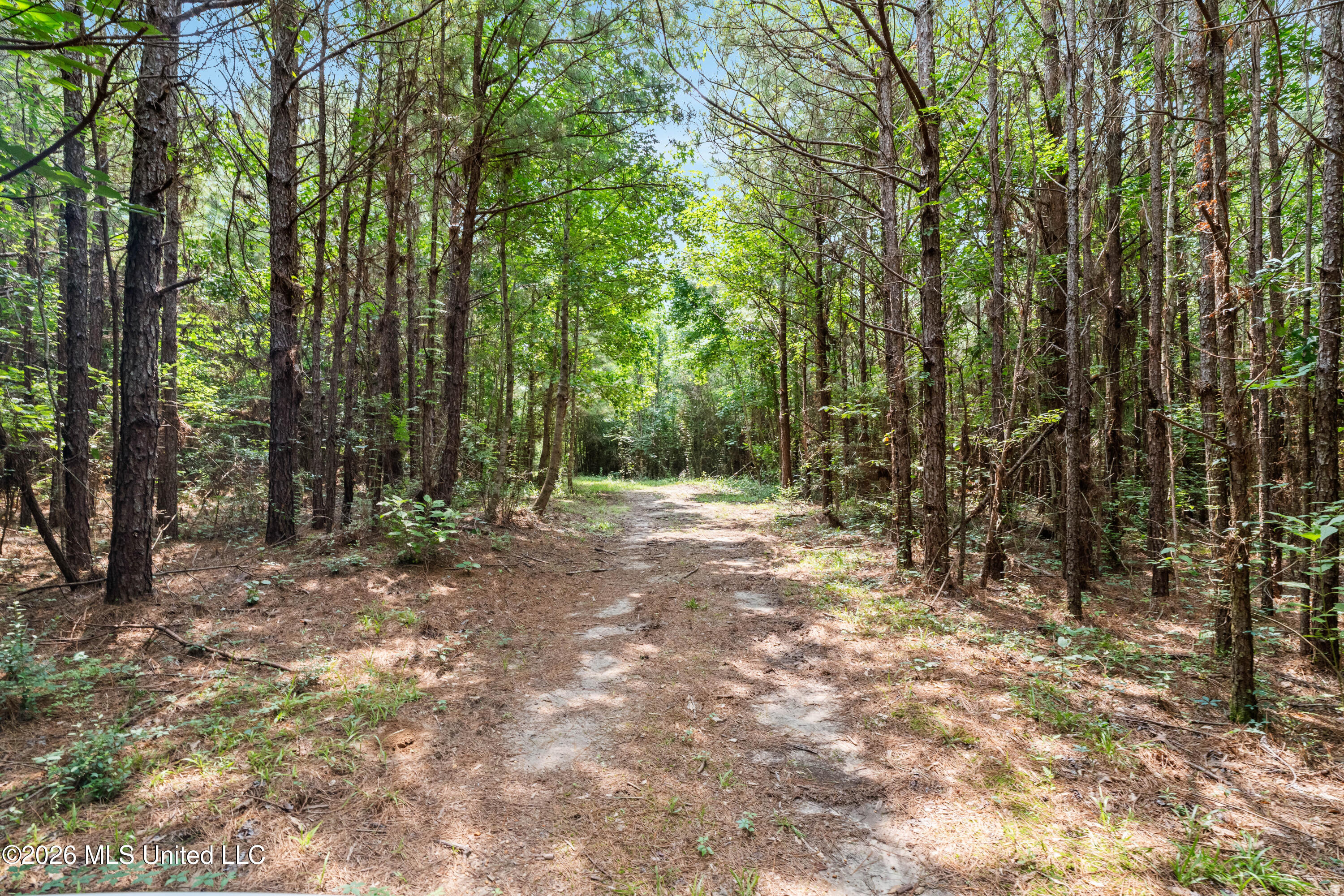 232 Knoxo Columbia Road Tylertown, MS 39667 - Photo 71 of 120 232_Knoxo_Columbia_Rd-71