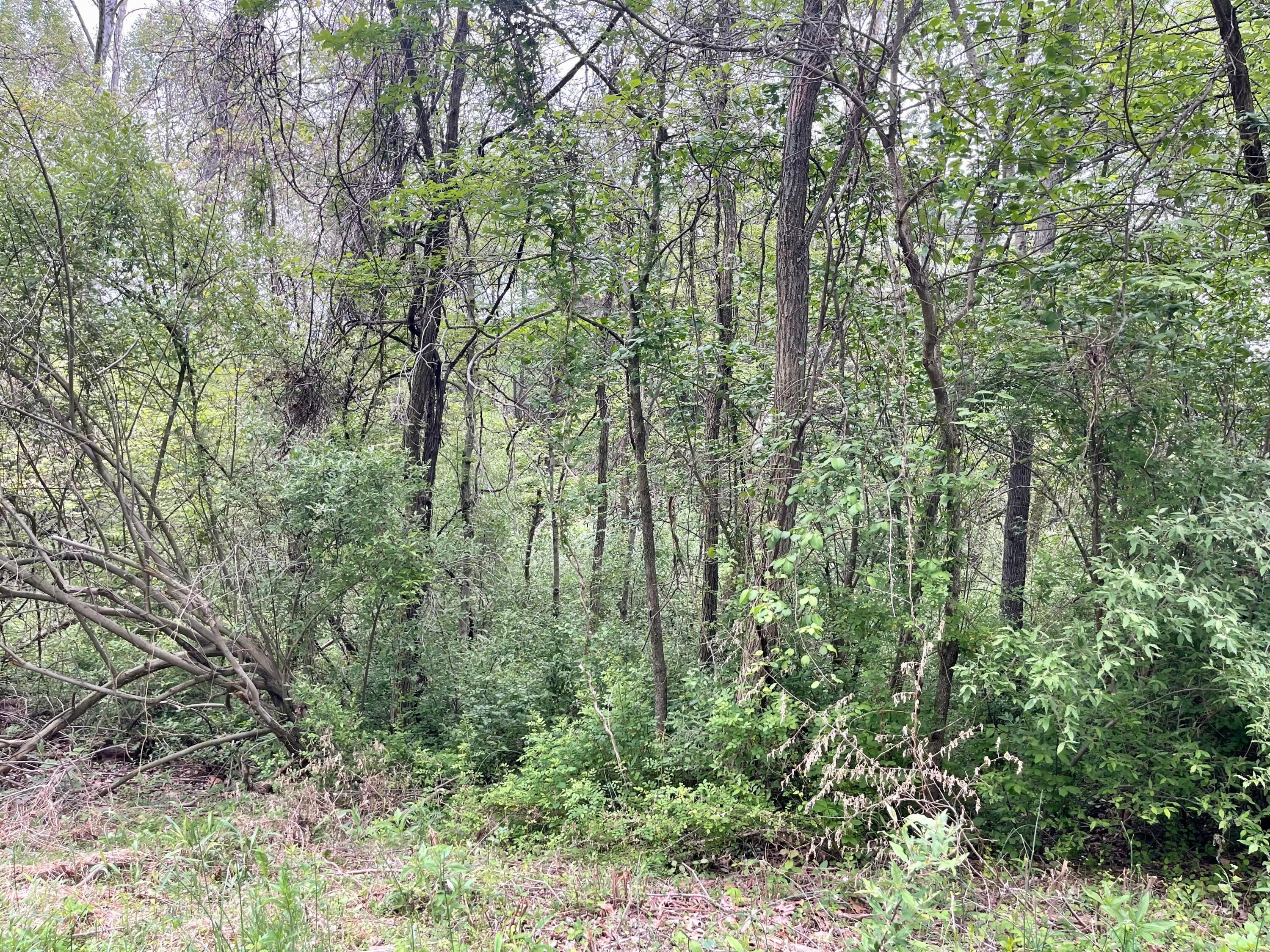 0 Pumpkin Ridge Road New Plymouth, OH 45654 - Photo 6 of 17 0 Pumpkin Ridge Road, New Plymouth