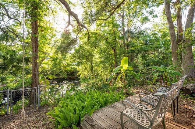 a big yard with lots of green space and plants
