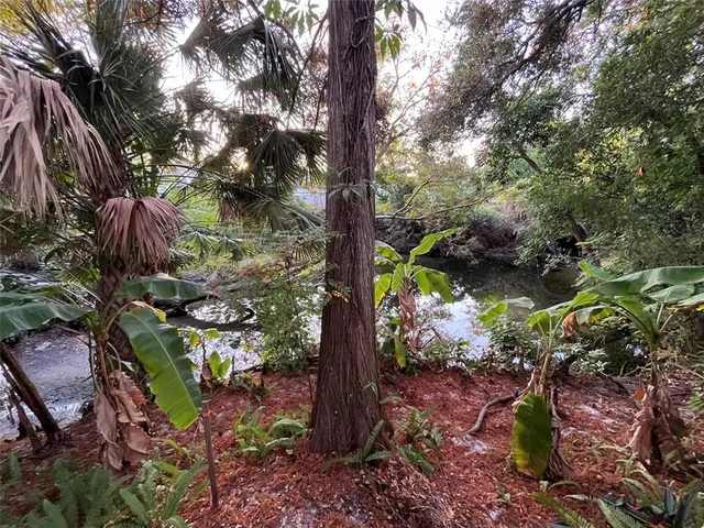 a view of a garden with plants and flowers
