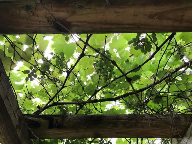 $939,000 | 1880 Belleair Road, Clearwater, FL 33764