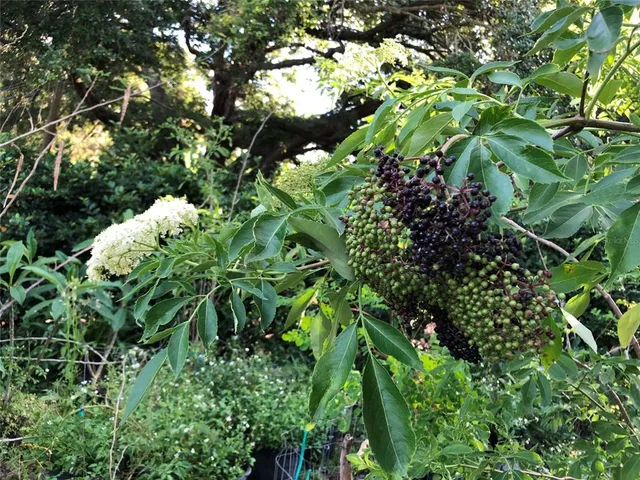 $939,000 | 1880 Belleair Road, Clearwater, FL 33764