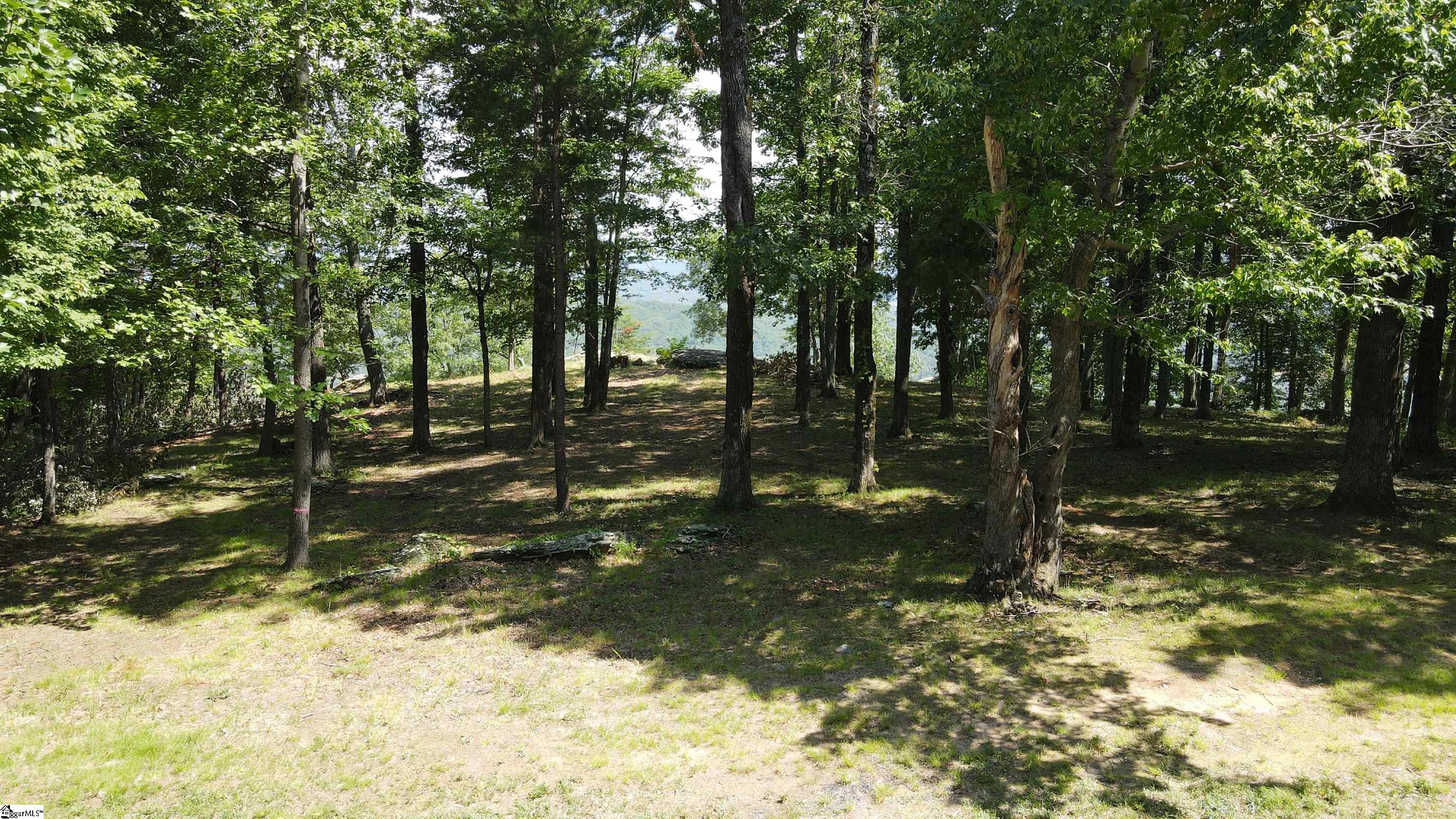 0 Southview Ledge Road, Unit LOT 62 Landrum, SC 29356 - Photo 13 of 34