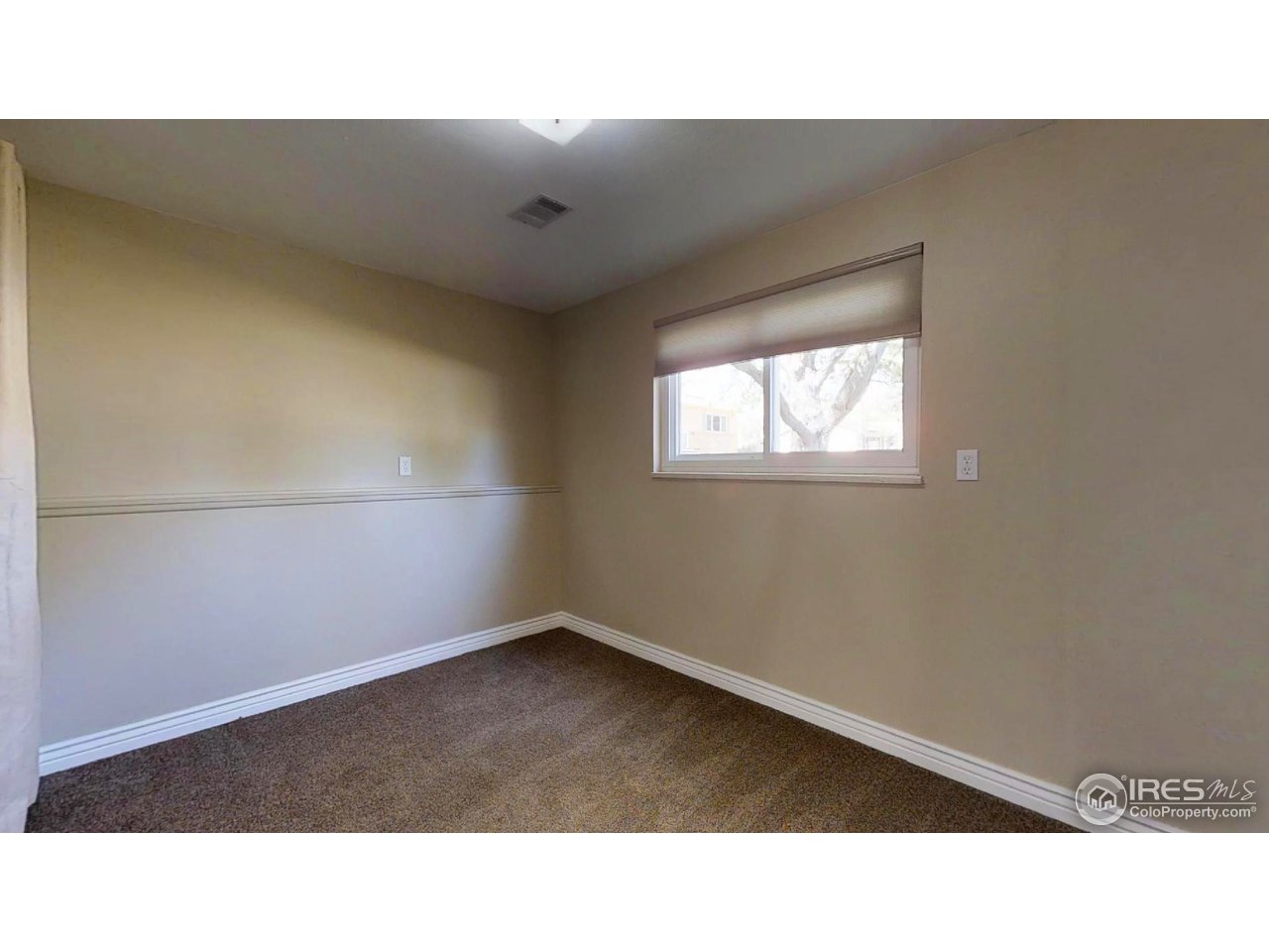 229 Briarwood Road Fort Collins, CO 80521 - Photo 12 of 21 Bedroom 3 - Lower Level with lots of Natural Light