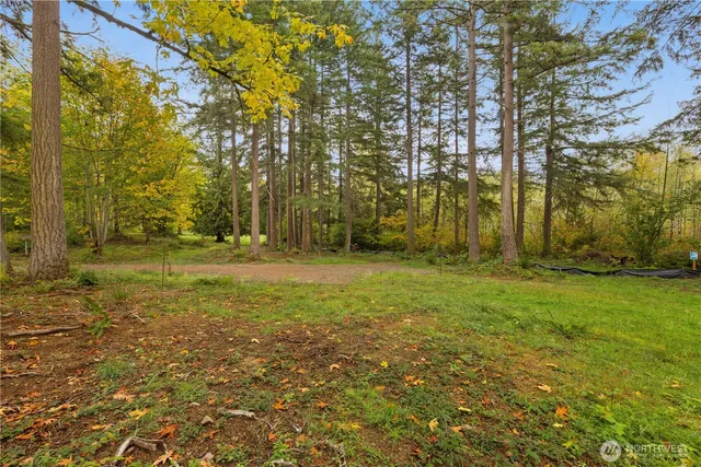 a huge green field with lots of trees