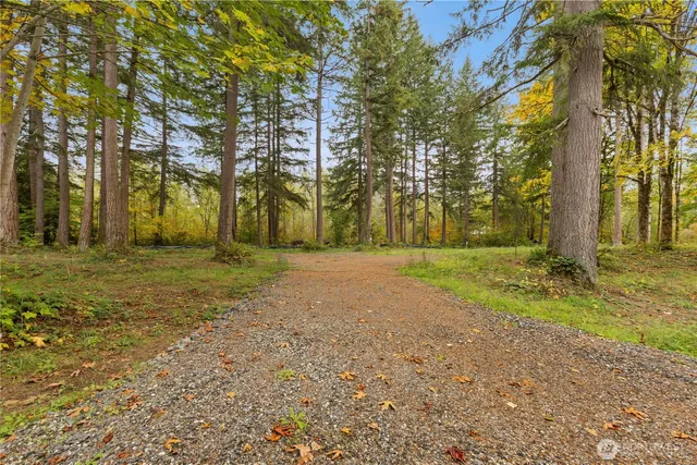 a view of a yard with trees