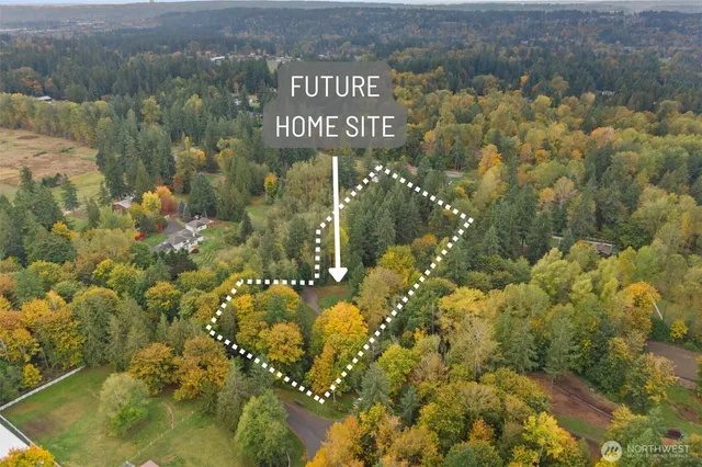 a view of a bunch of flowers and trees