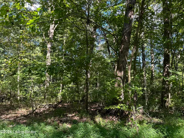 $16,000 | 19 Clarktown Road, Bardstown, KY 40004