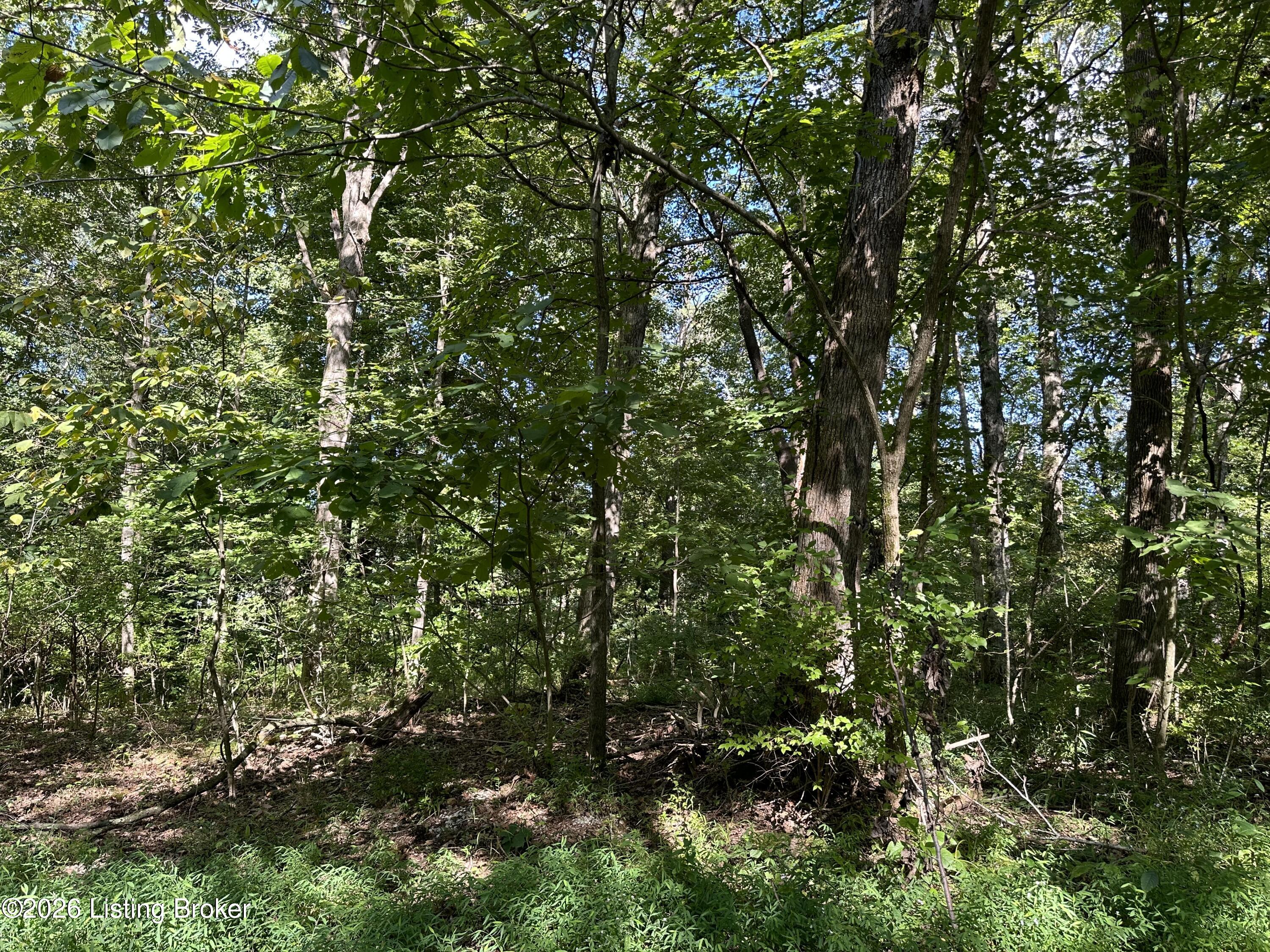 19 Clarktown Road Bardstown, KY 40004 - Photo 1 of 1 IMG_6842