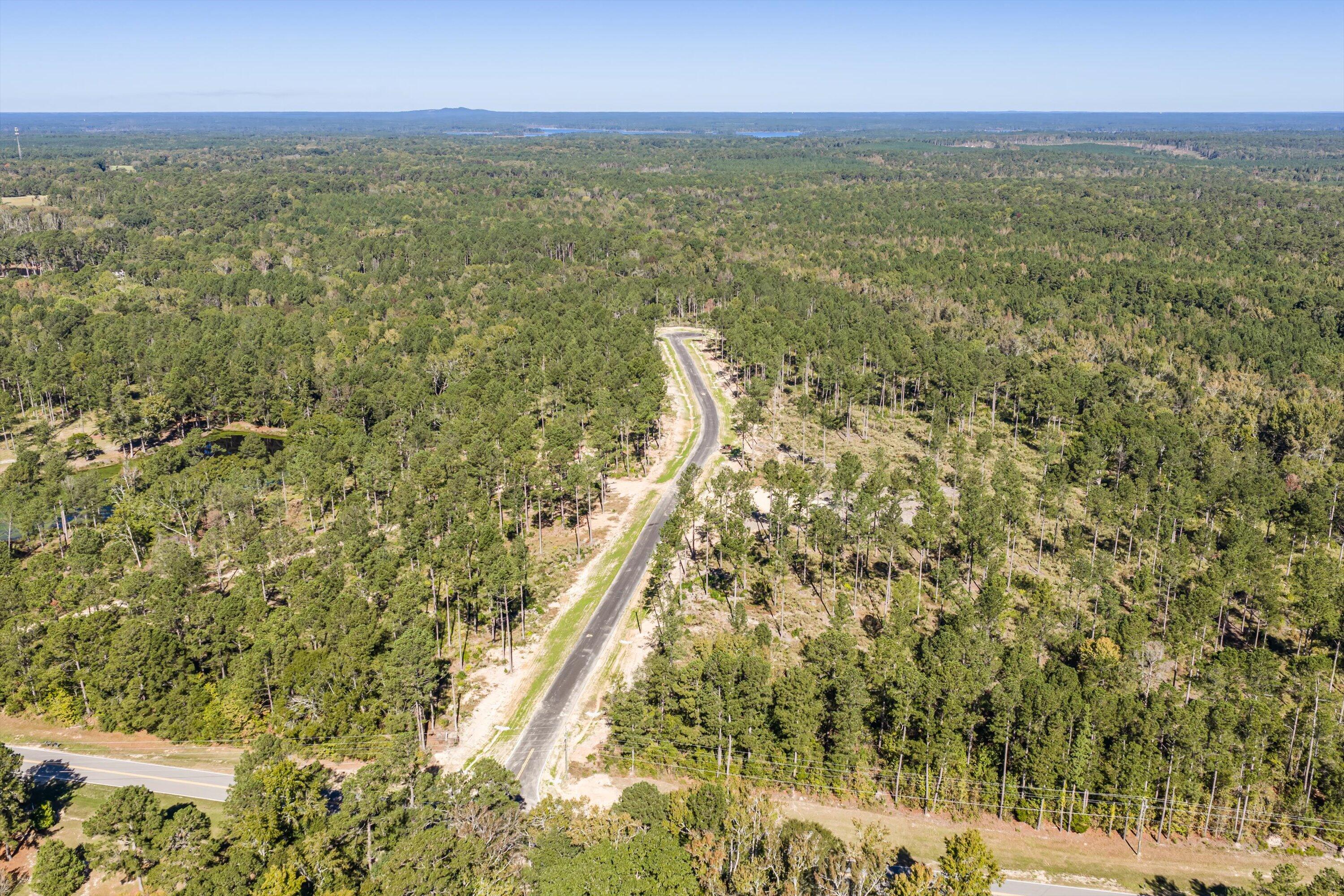 119 Beagle Chase Drive Appling, GA 30802 - Photo 3 of 6 01-All