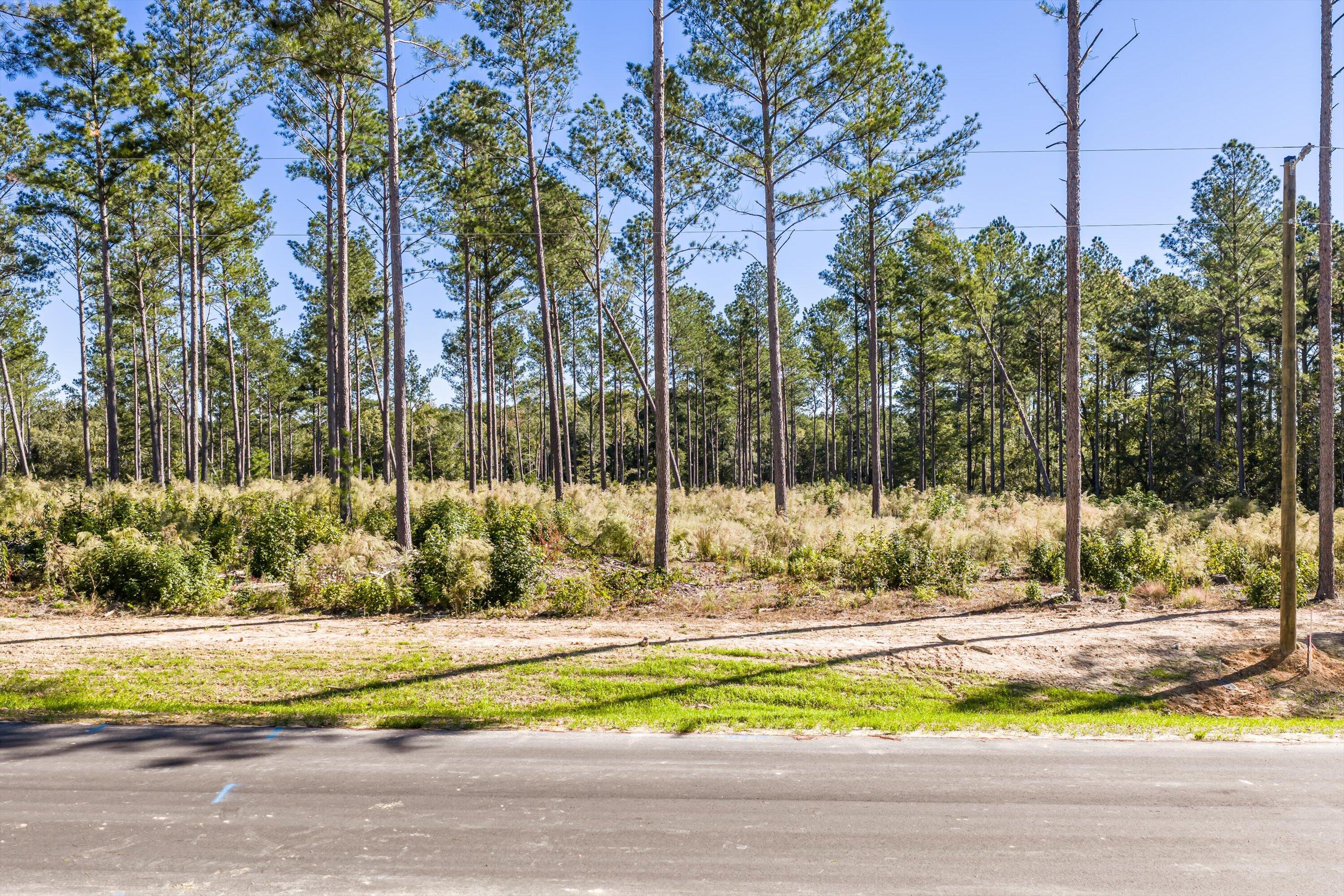 119 Beagle Chase Drive Appling, GA 30802 - Photo 5 of 6 07-Lot2