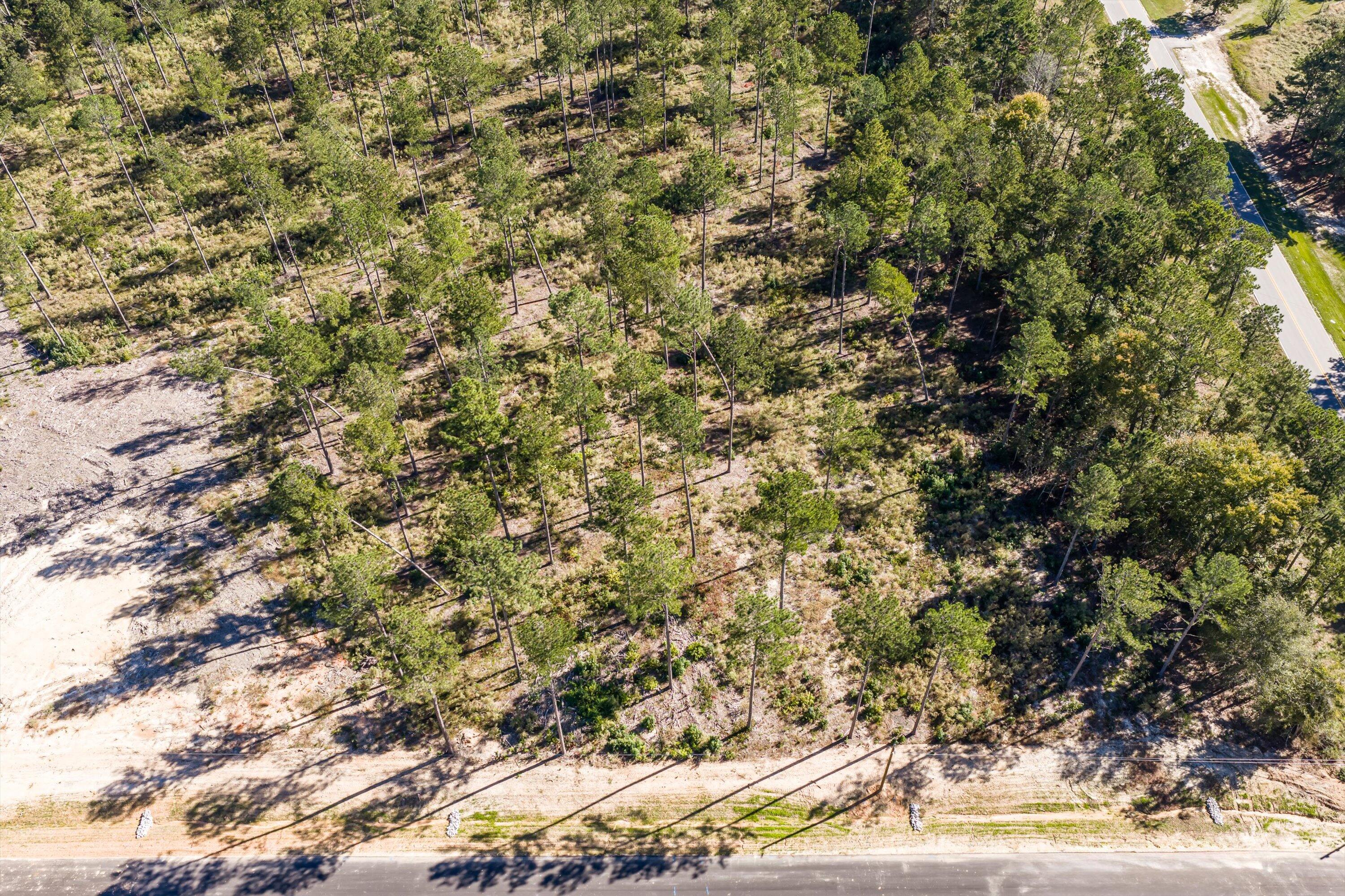 119 Beagle Chase Drive Appling, GA 30802 - Photo 6 of 6 08-Lot2_2