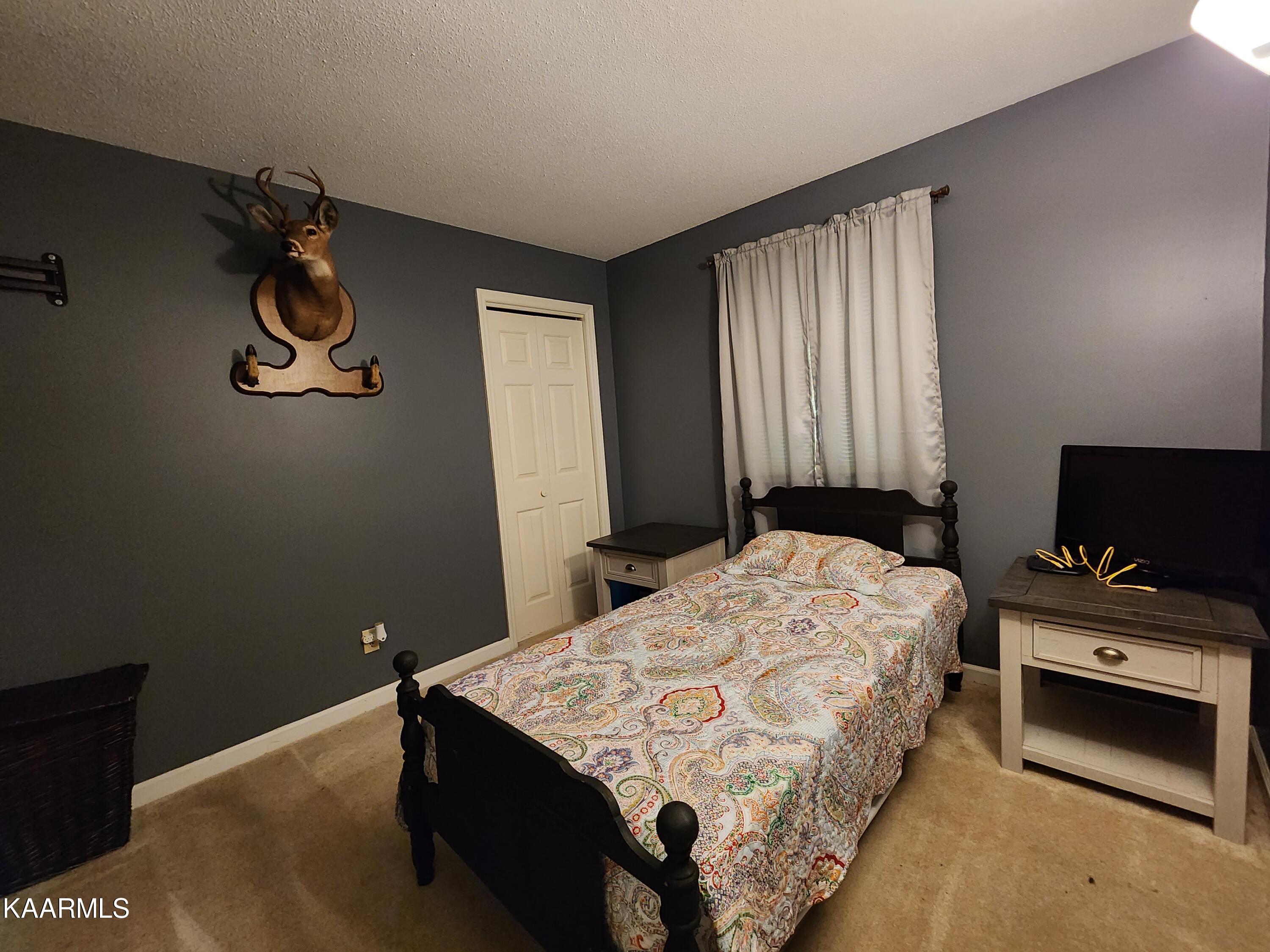 115 Wheat Ridge Oliver Springs, TN 37840 - Photo 23 of 51 Bedroom 3