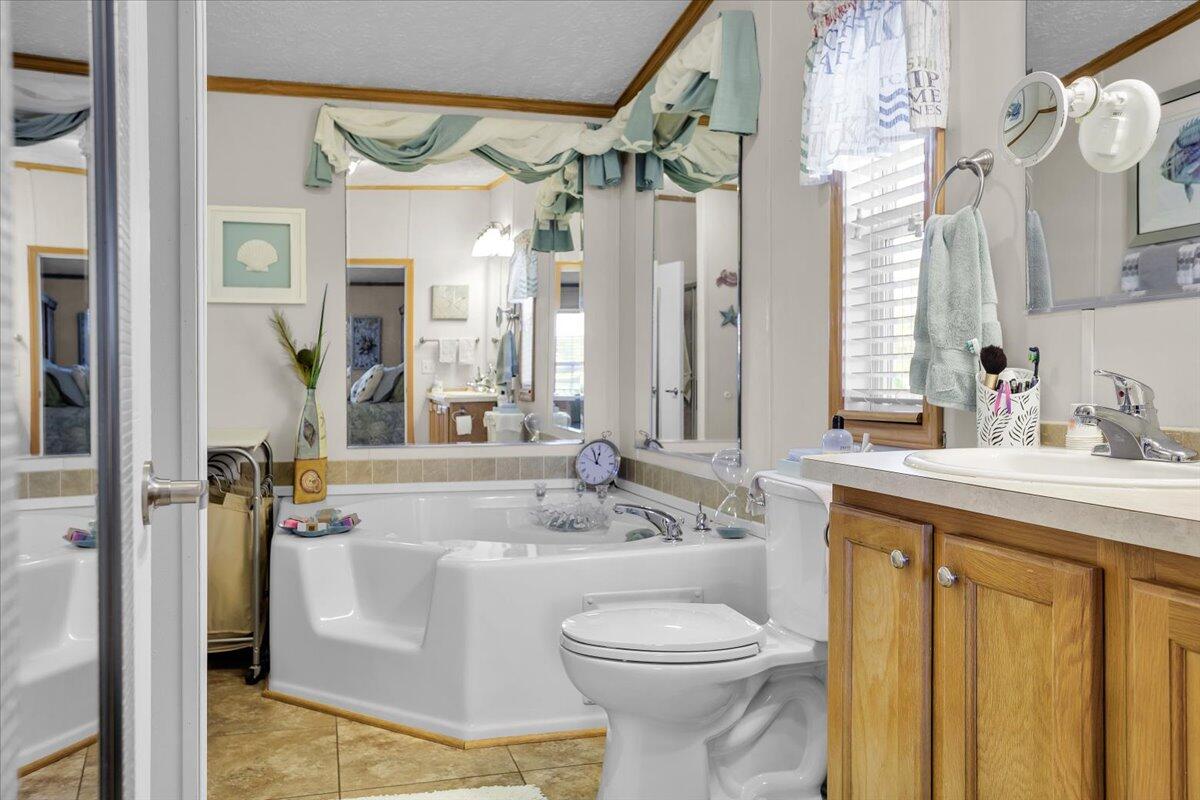 485 Big Cove Drive Penhook, VA 24137 - Photo 17 of 60 a bathroom with a granite countertop sink and a mirror