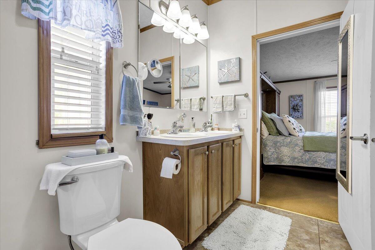 485 Big Cove Drive Penhook, VA 24137 - Photo 18 of 60 a en suite bathroom with a toilet sink and mirror