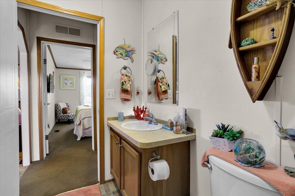485 Big Cove Drive Penhook, VA 24137 - Photo 30 of 60 a bathroom with a sink mirror and a potted plant