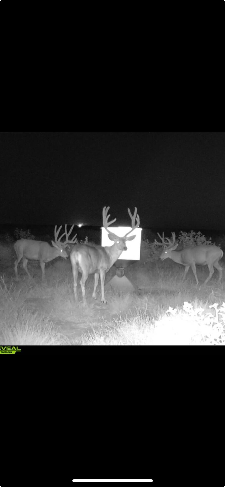 2182 Fm 2182 Morton, TX 79346 - Photo 2 of 9 a bathroom with a sink and a mirror
