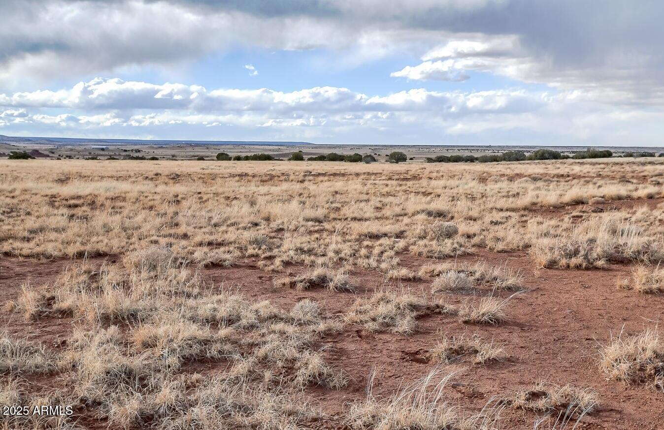 34 County Road Concho, AZ 85924 - Photo 5 of 7