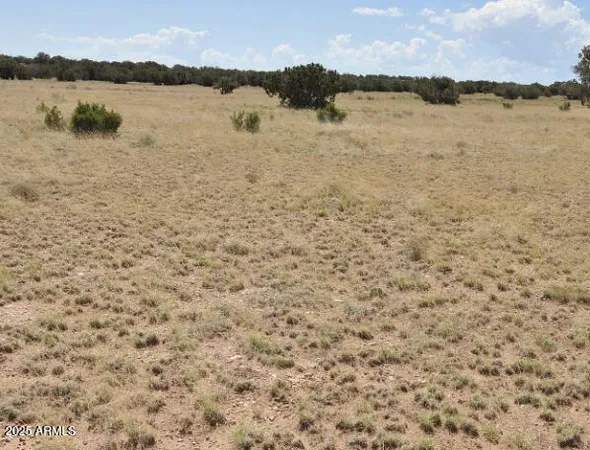 $8,999 | 34 County Road, Concho, AZ 85924