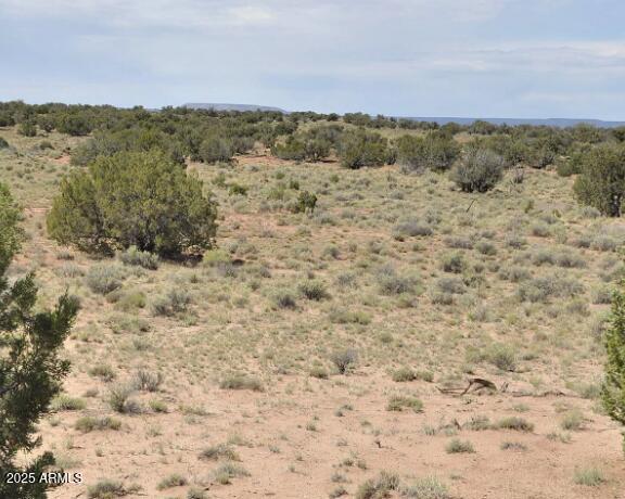 34 County Road Concho, AZ 85924 - Photo 7 of 7