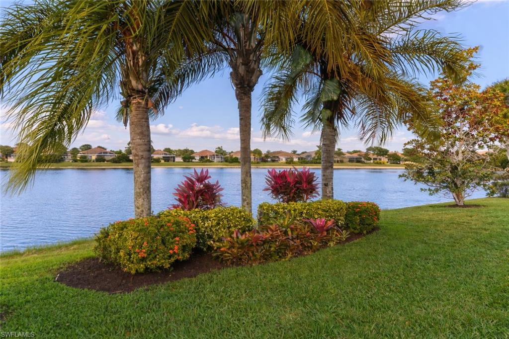 8595 Palermo Court Naples, FL 34114 - Photo 11 of 49 a view of a garden with palm trees