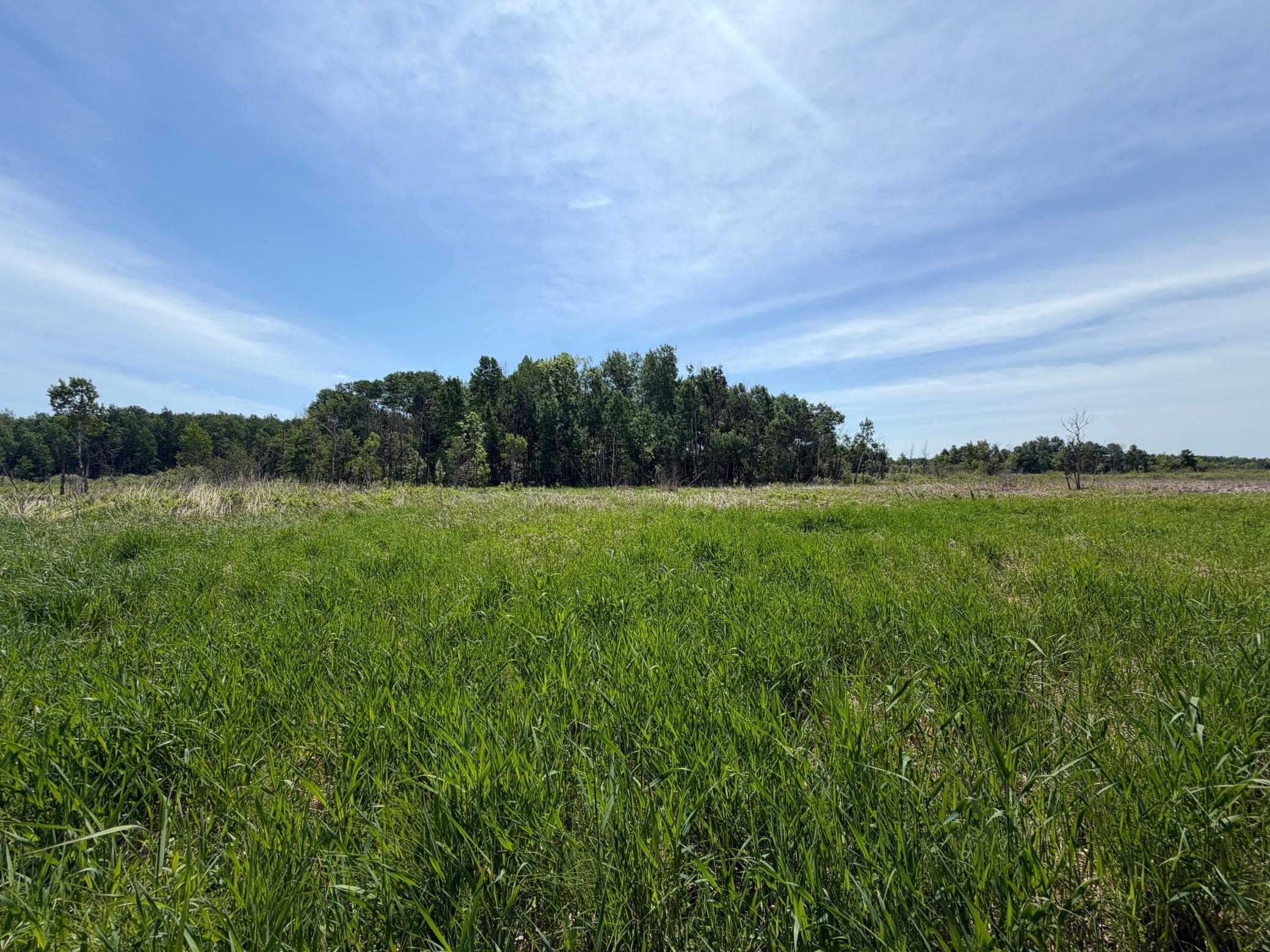 Tbd-b 180th Street Milaca, MN 56353 - Photo 10 of 80