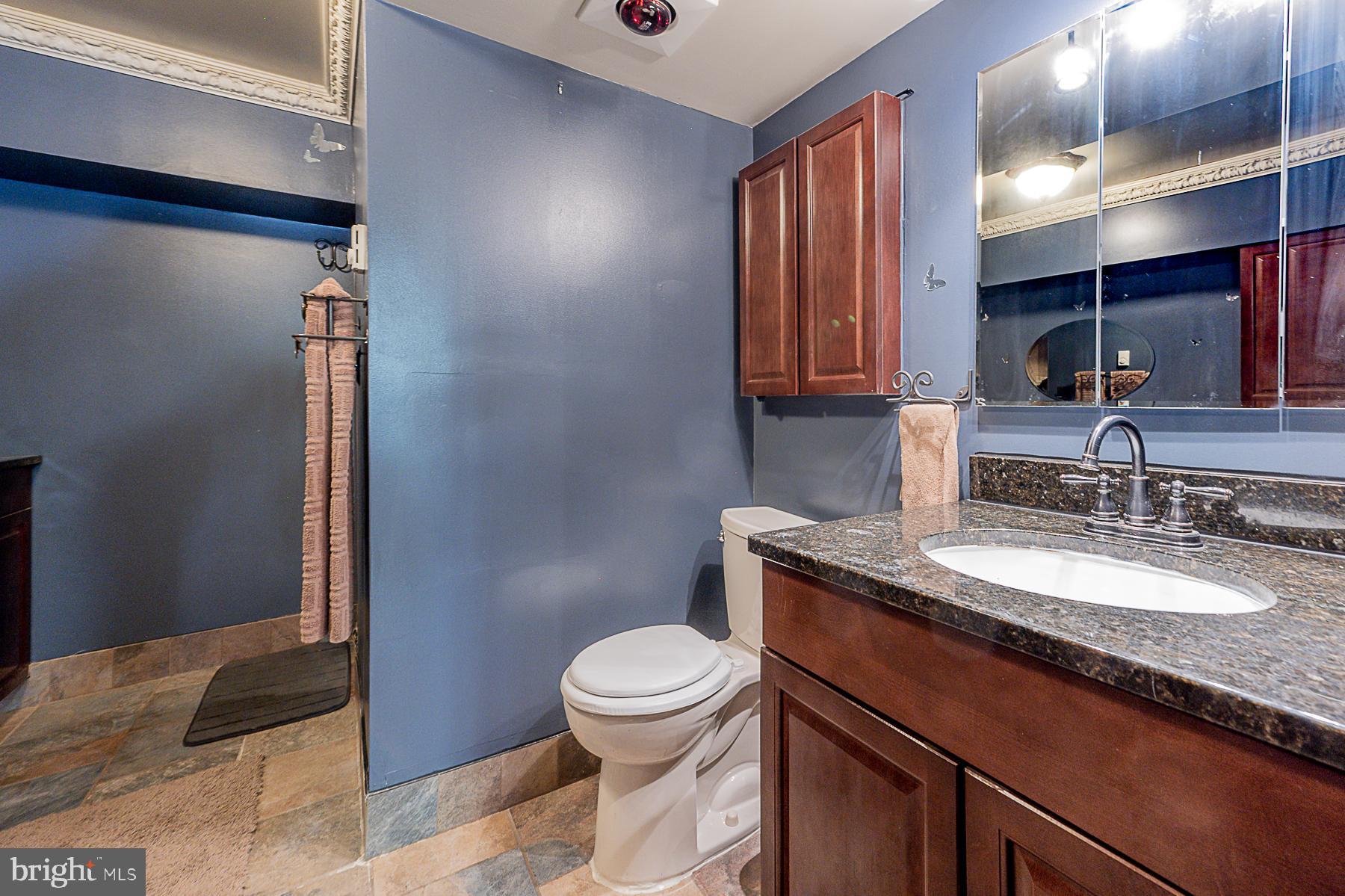 5565 Ashbourne Road Baltimore, MD 21227 - Photo 39 of 47 LOWER LEVEL FULL BATH