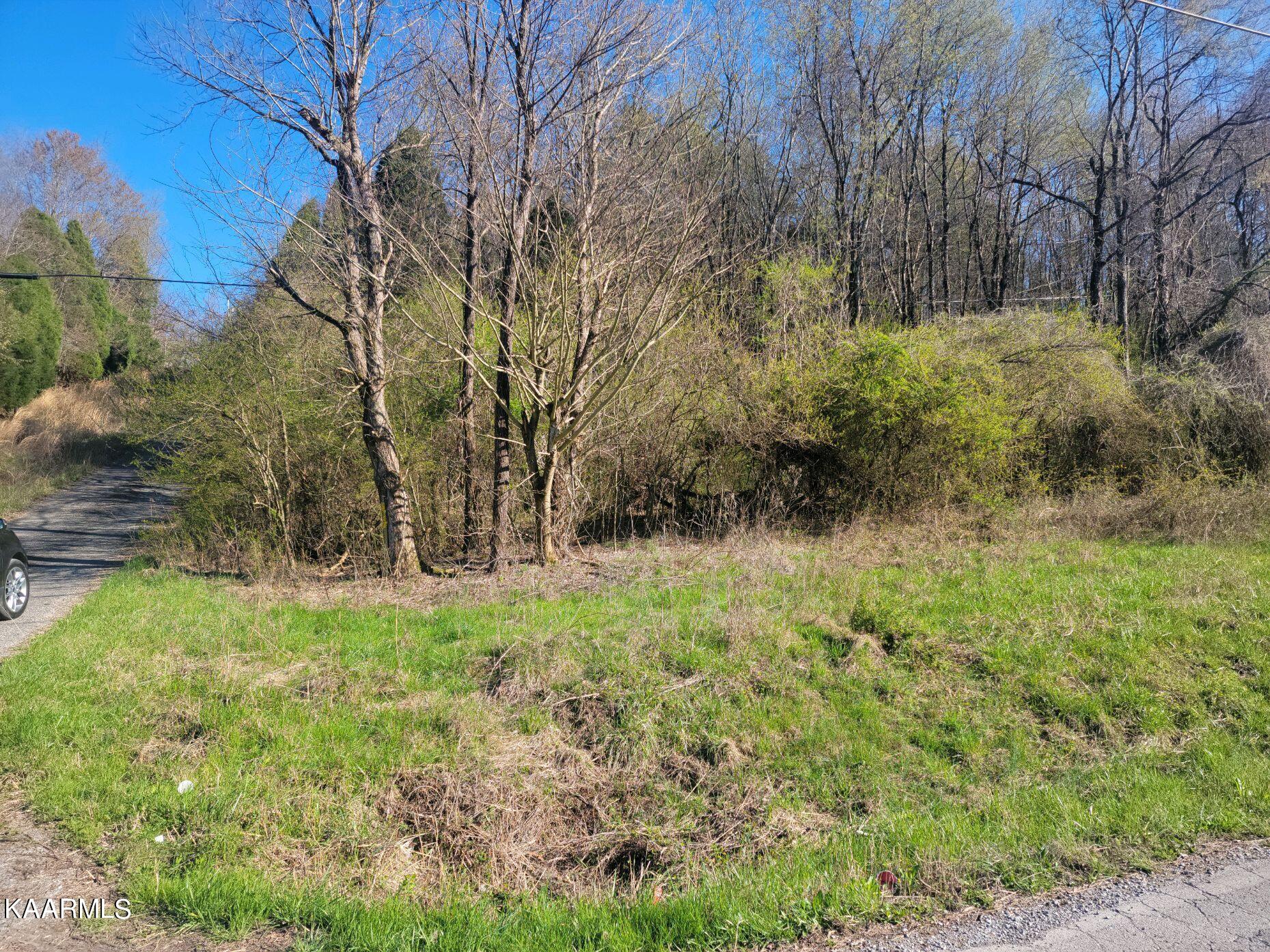 Lot 2 Hinch Street Spring City, TN 37381 - Photo 1 of 19 20230314_171451