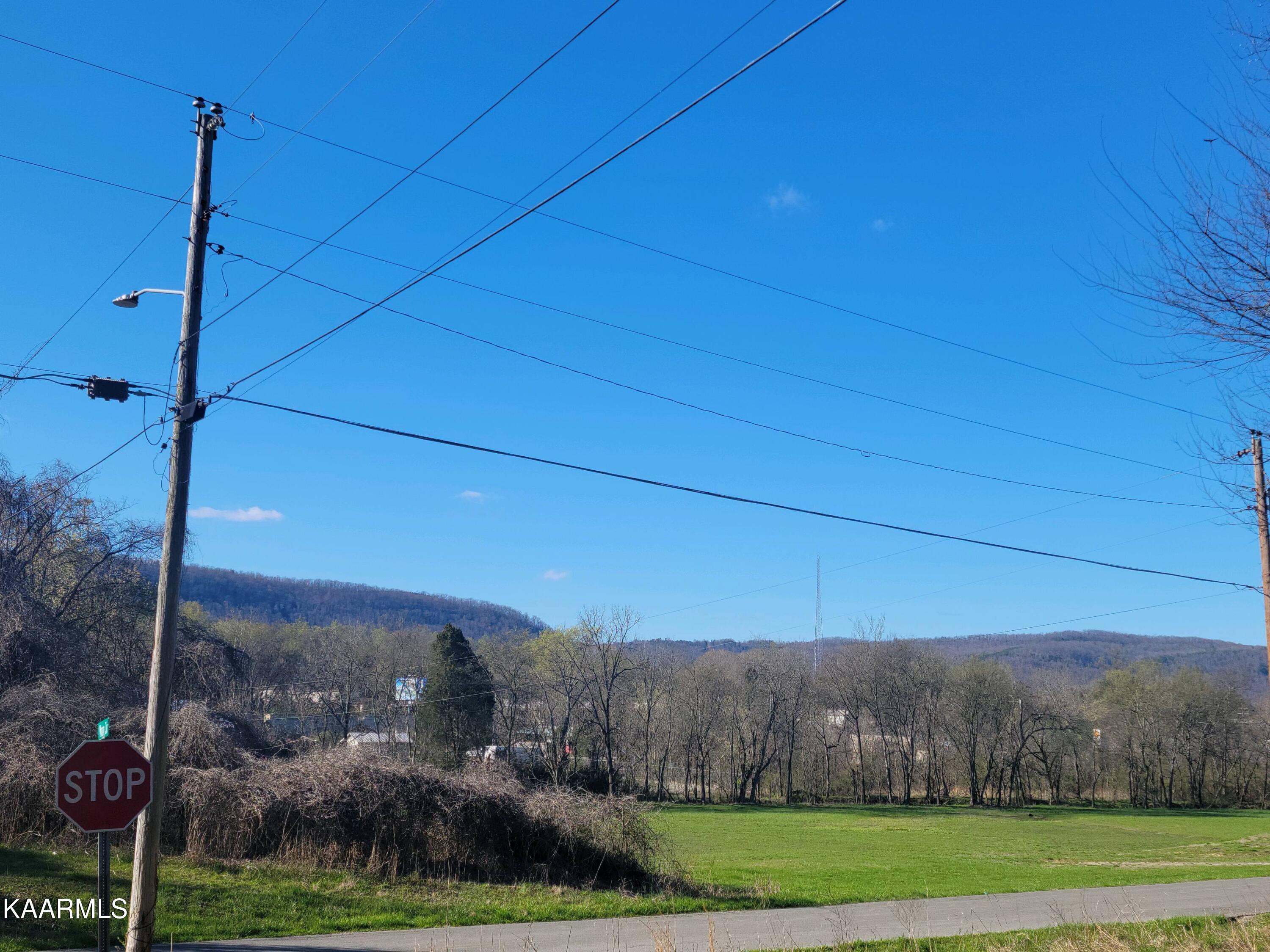 Lot 2 Hinch Street Spring City, TN 37381 - Photo 11 of 19 20230314_171718