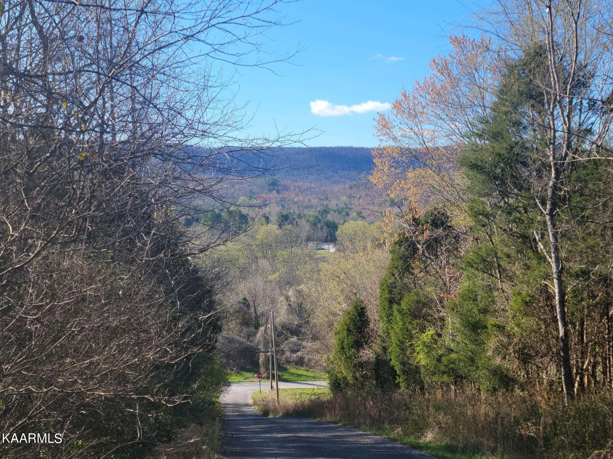 Lot 2 Hinch Street Spring City, TN 37381 - Photo 14 of 19 20230314_172018