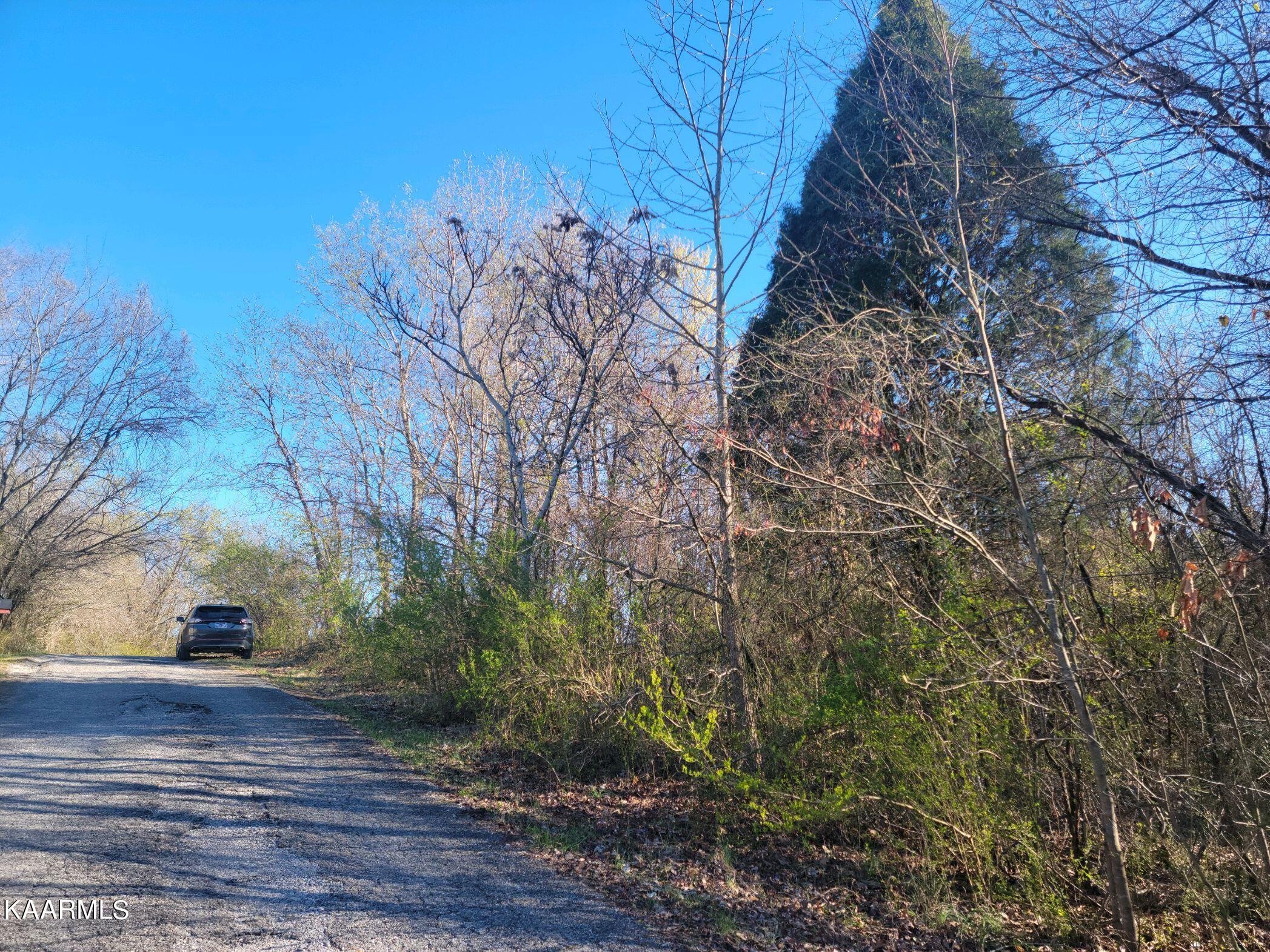 Lot 2 Hinch Street Spring City, TN 37381 - Photo 16 of 19 20230314_172059