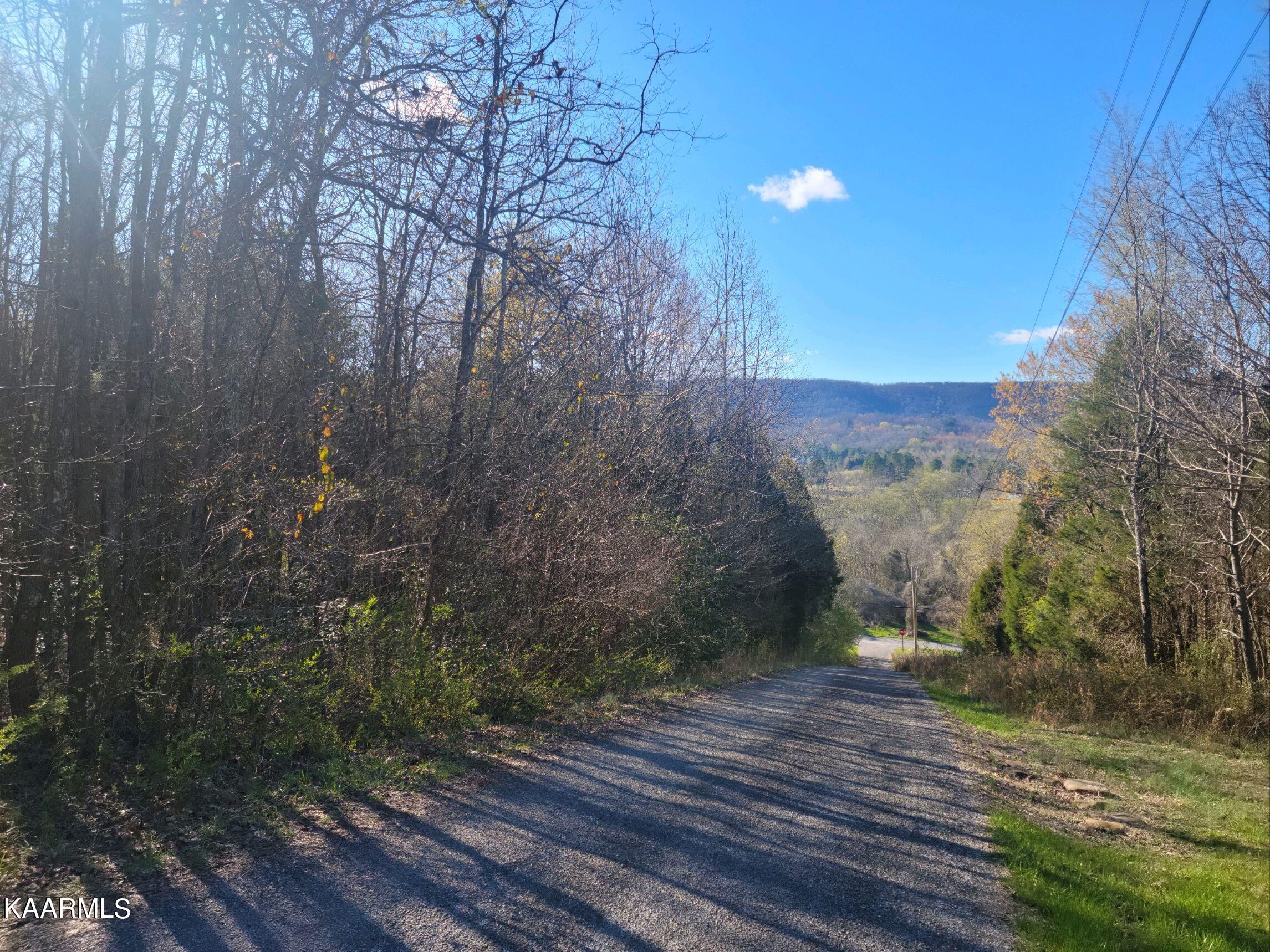 Lot 2 Hinch Street Spring City, TN 37381 - Photo 17 of 19 20230314_172108
