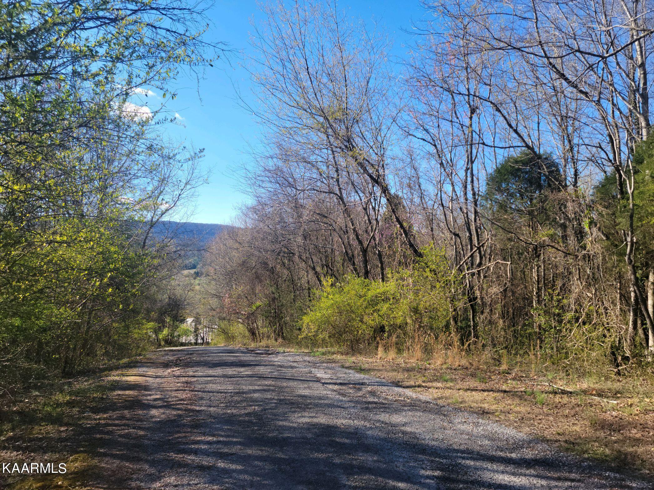 Lot 2 Hinch Street Spring City, TN 37381 - Photo 19 of 19 20230314_172403