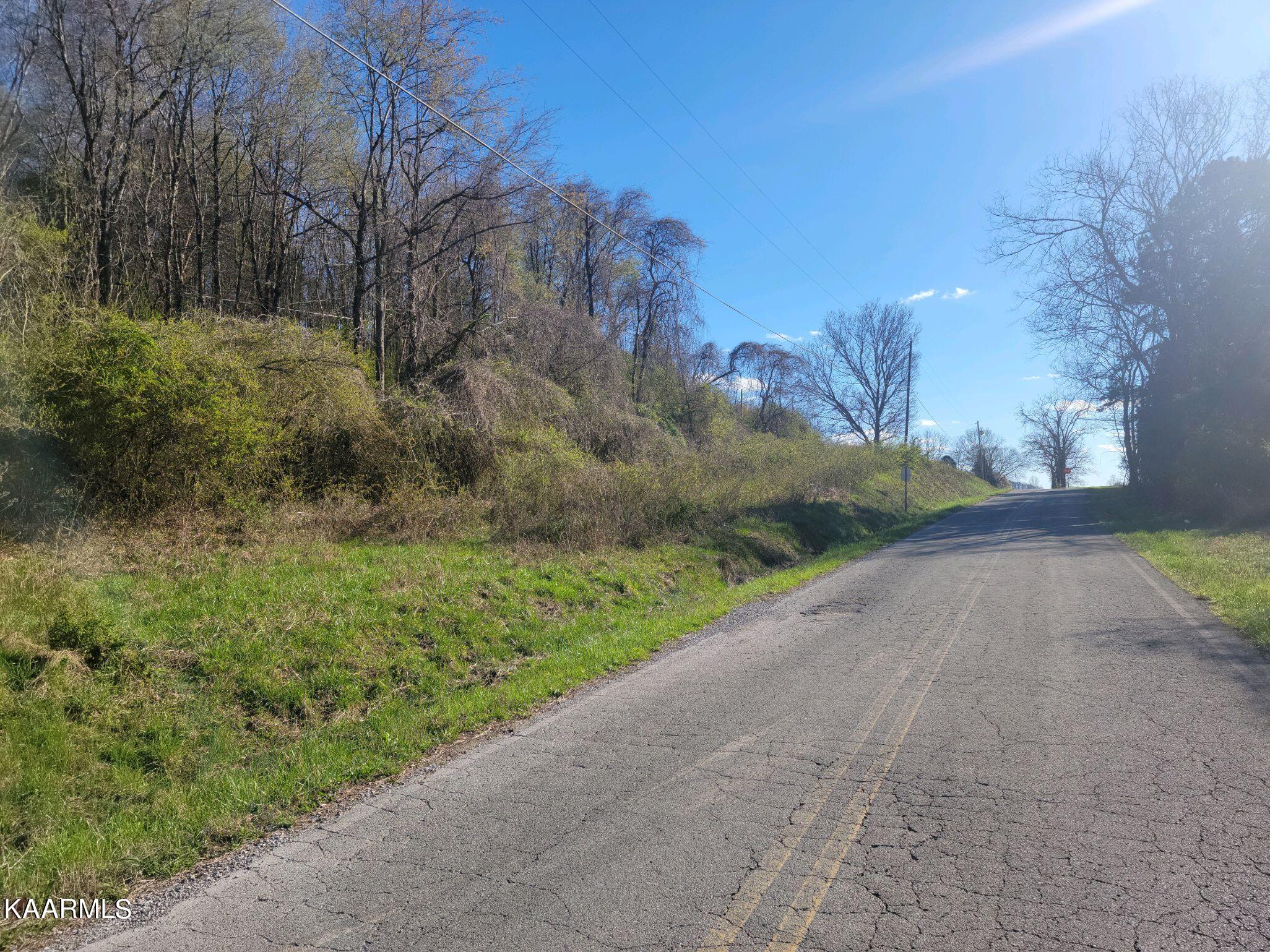 Lot 2 Hinch Street Spring City, TN 37381 - Photo 2 of 19 20230314_171456