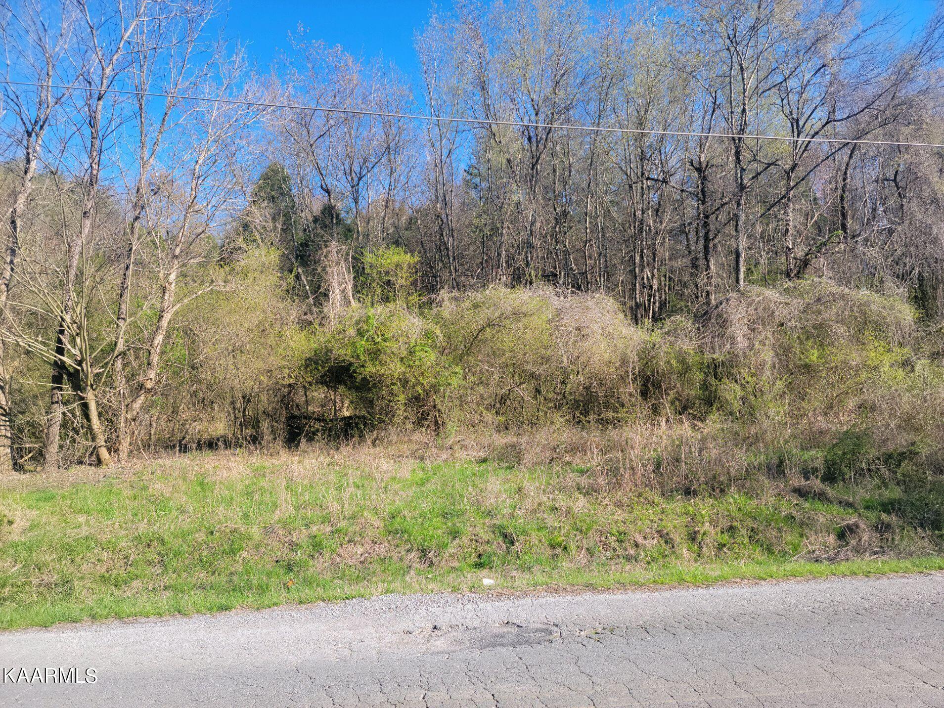 Lot 2 Hinch Street Spring City, TN 37381 - Photo 3 of 19 20230314_171511