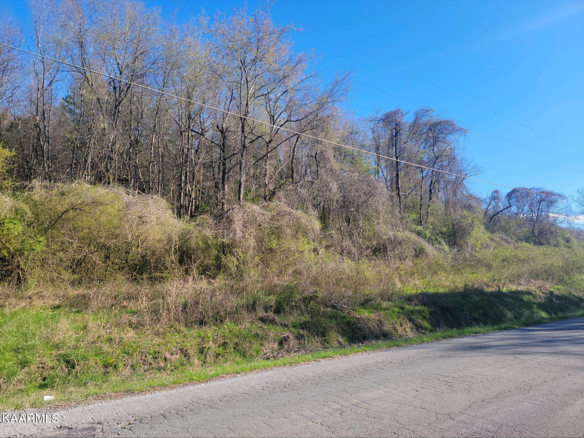 Lot 2 Hinch Street Spring City, TN 37381 - Photo 4 of 19 20230314_171516
