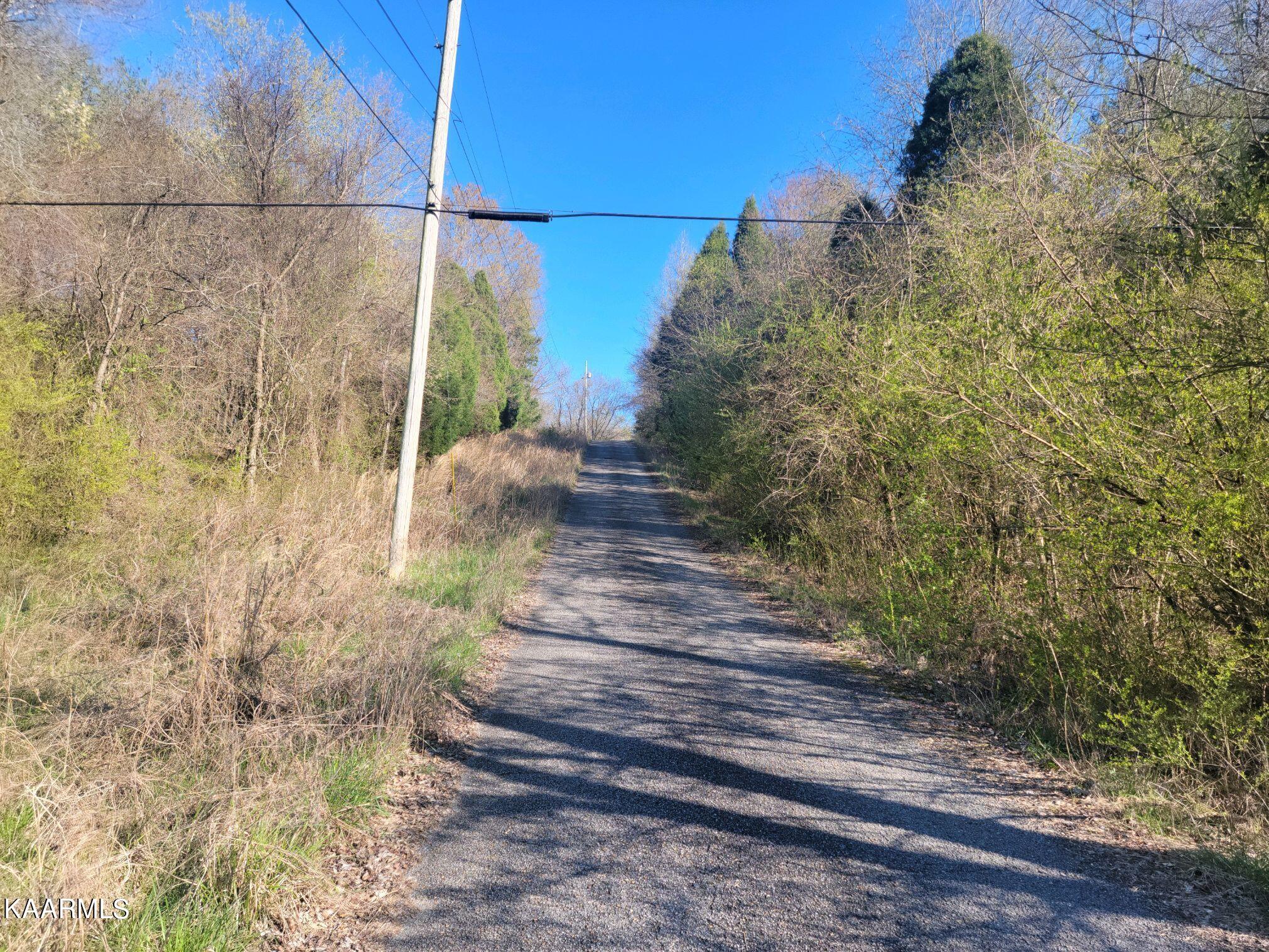 Lot 2 Hinch Street Spring City, TN 37381 - Photo 5 of 19 20230314_171552