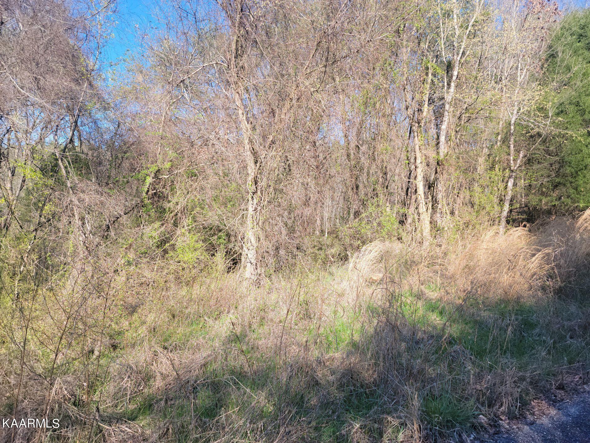 Lot 2 Hinch Street Spring City, TN 37381 - Photo 6 of 19 20230314_171624