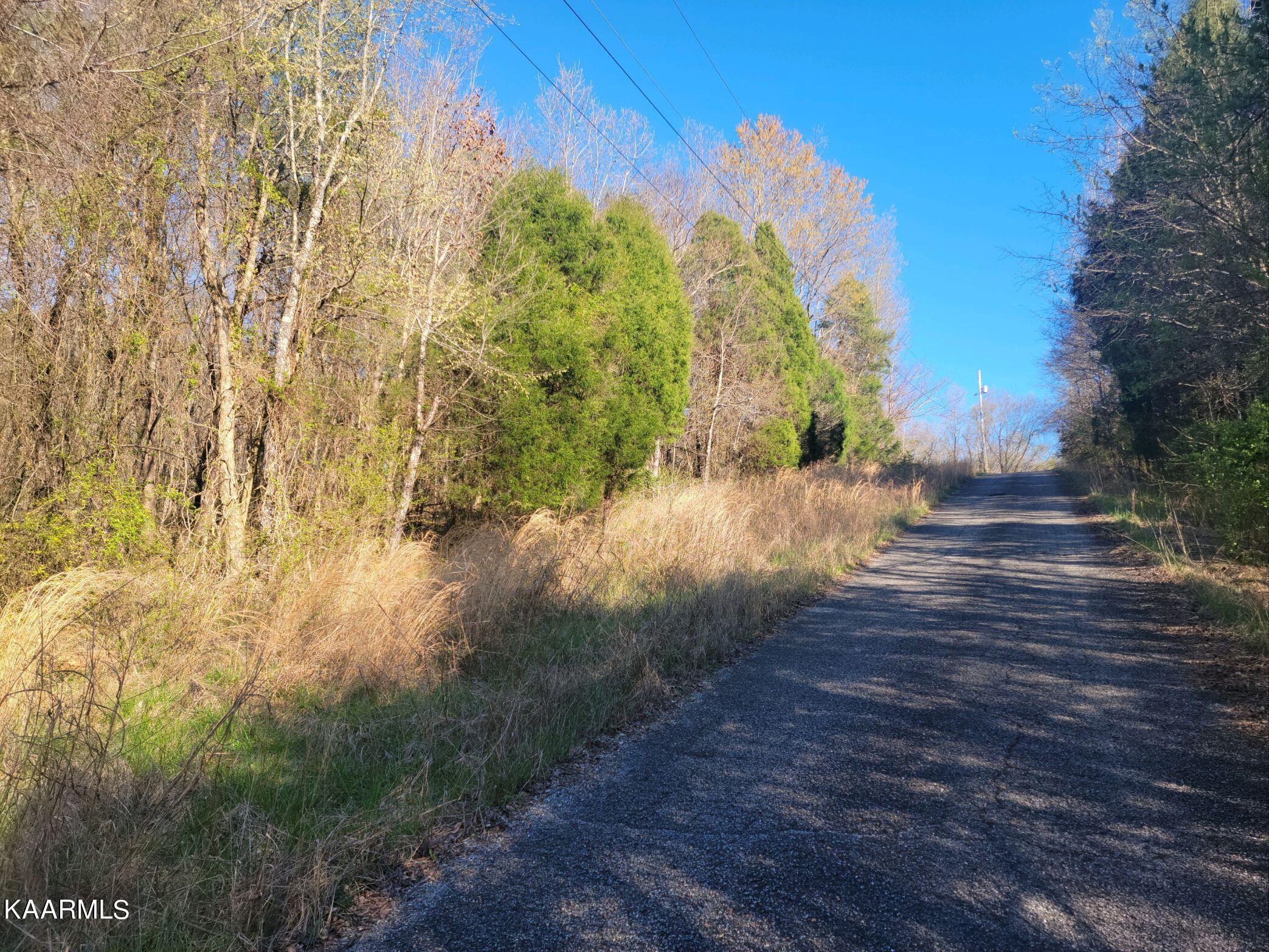 Lot 2 Hinch Street Spring City, TN 37381 - Photo 7 of 19 20230314_171629